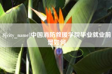 鄂尔多斯中国消防救援学院毕业就业前景如何