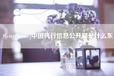 鄂尔多斯中国执行信息公开网是什么东西