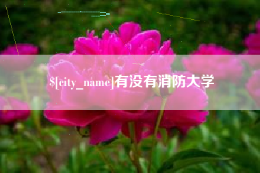 鄂尔多斯有没有消防大学