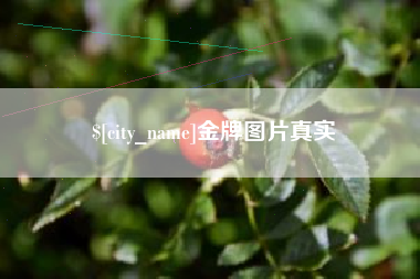 鄂尔多斯金牌图片真实