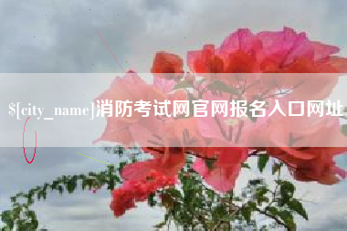 鄂尔多斯消防考试网官网报名入口网址