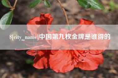 鄂尔多斯中国第九枚金牌是谁得的