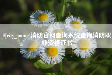 鄂尔多斯消防官网查询系统查询消防职业资格证书