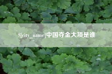 鄂尔多斯中国夺金大项是谁