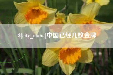 鄂尔多斯中国已经几枚金牌