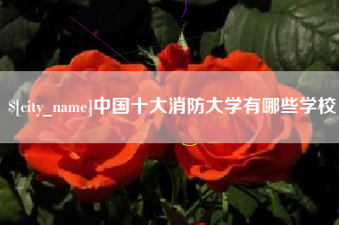 鄂尔多斯中国十大消防大学有哪些学校