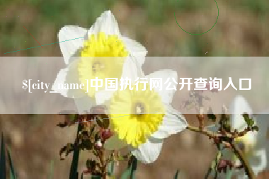 鄂尔多斯中国执行网公开查询入口