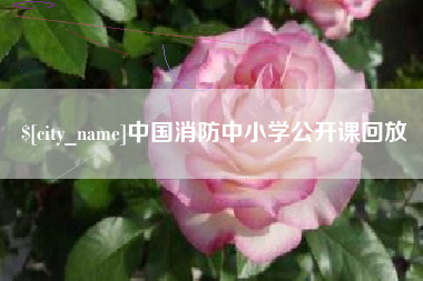鄂尔多斯中国消防中小学公开课回放