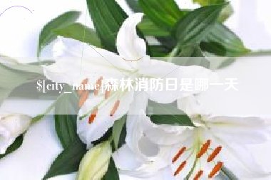 鄂尔多斯森林消防日是哪一天