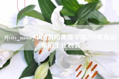 鄂尔多斯中国消防救援学院2020年在山东招生计划表