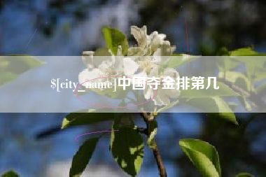 鄂尔多斯中国夺金排第几