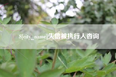 鄂尔多斯失信被执行人杳询