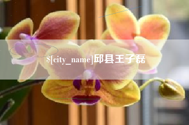 鄂尔多斯邱县王子磊