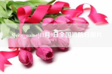 鄂尔多斯11月9日全国消防日图片