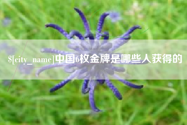 鄂尔多斯中国6枚金牌是哪些人获得的