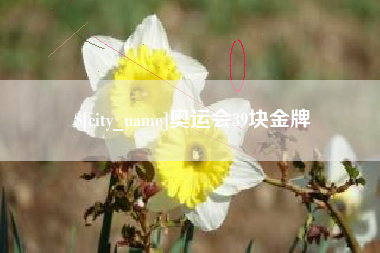 鄂尔多斯奥运会39块金牌