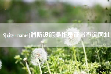 鄂尔多斯消防设施操作员证书查询网址