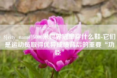 鄂尔多斯5000米世界冠军穿什么鞋-它们是运动员取得优异成绩背后的重要“功臣”