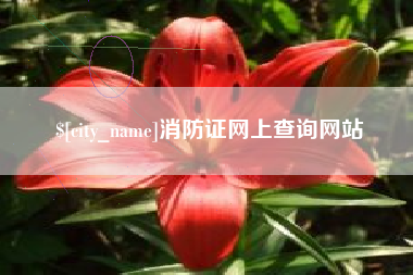 鄂尔多斯消防证网上查询网站