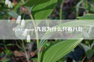 鄂尔多斯九宫为什么只有八卦