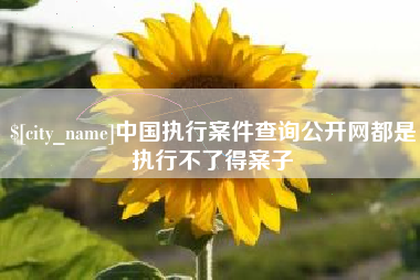 鄂尔多斯中国执行案件查询公开网都是执行不了得案子