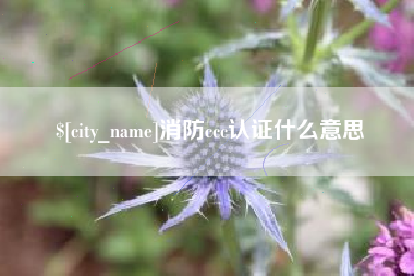鄂尔多斯消防ccc认证什么意思