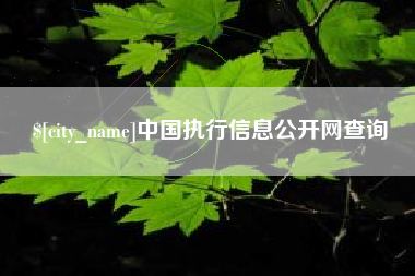 鄂尔多斯中国执行信息公开网查询