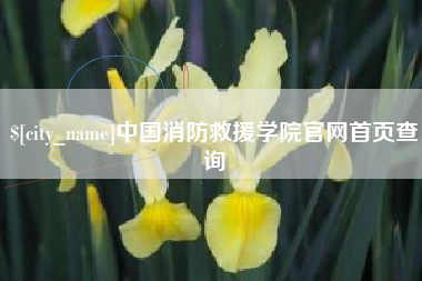 鄂尔多斯中国消防救援学院官网首页查询