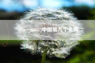 鄂尔多斯中国第九个金牌