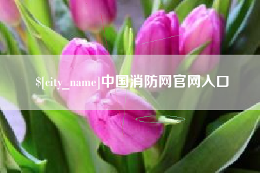鄂尔多斯中国消防网官网入口
