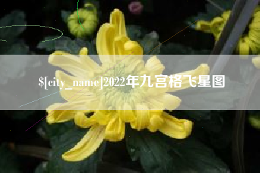 鄂尔多斯2022年九宫格飞星图