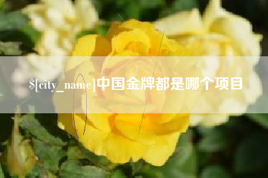 鄂尔多斯中国金牌都是哪个项目