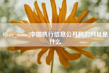 鄂尔多斯中国执行信息公开网的网址是什么