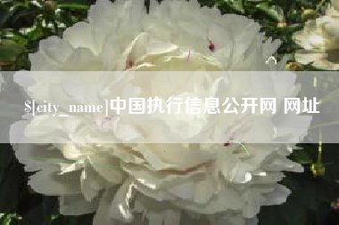 鄂尔多斯中国执行信息公开网 网址