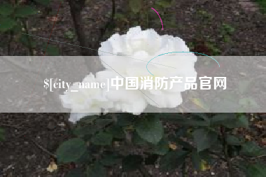 鄂尔多斯中国消防产品官网