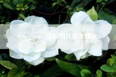 鄂尔多斯中国的几块金牌2021