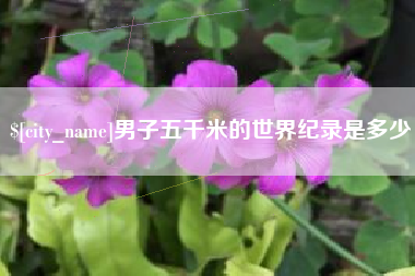 鄂尔多斯男子五千米的世界纪录是多少
