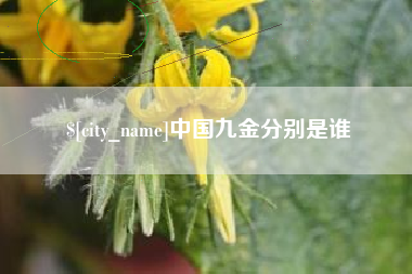 鄂尔多斯中国九金分别是谁