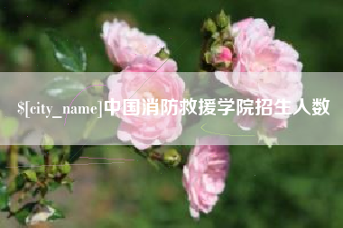 鄂尔多斯中国消防救援学院招生人数