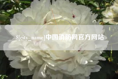 鄂尔多斯中国消防网官方网站