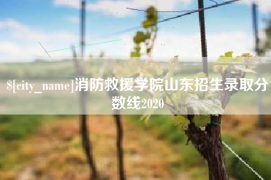 鄂尔多斯消防救援学院山东招生录取分数线2020