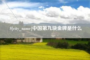 鄂尔多斯中国第九块金牌是什么