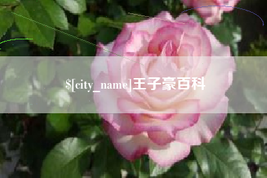 鄂尔多斯王子豪百科