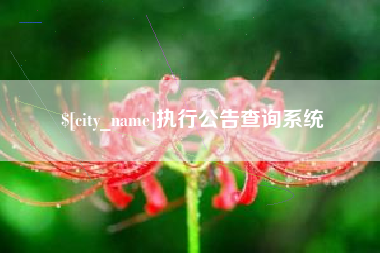 鄂尔多斯执行公告查询系统