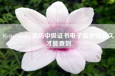 鄂尔多斯消防中级证书电子版查询多久才能查到