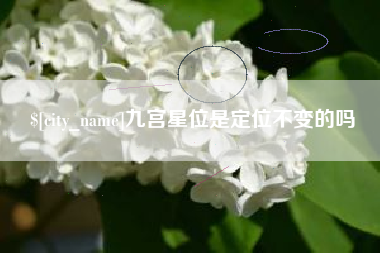 鄂尔多斯九宫星位是定位不变的吗