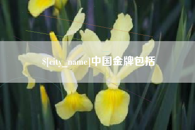 鄂尔多斯中国金牌包括