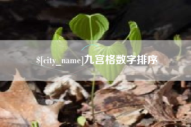 鄂尔多斯九宫格数字排序