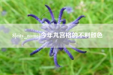 鄂尔多斯今年九宫格的不利颜色