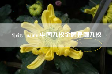 鄂尔多斯中国九枚金牌是哪九枚
